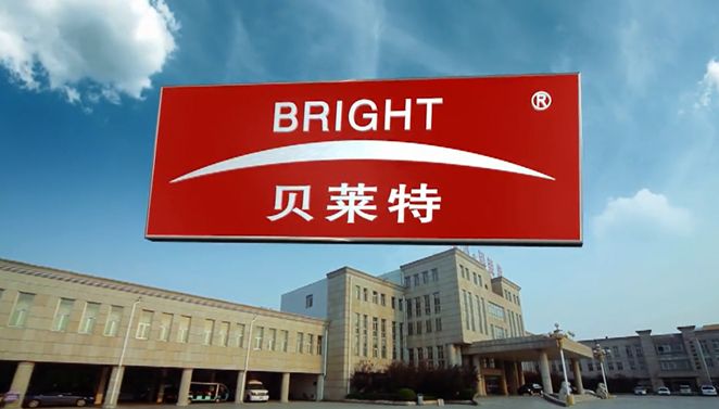 Introdução da empresa